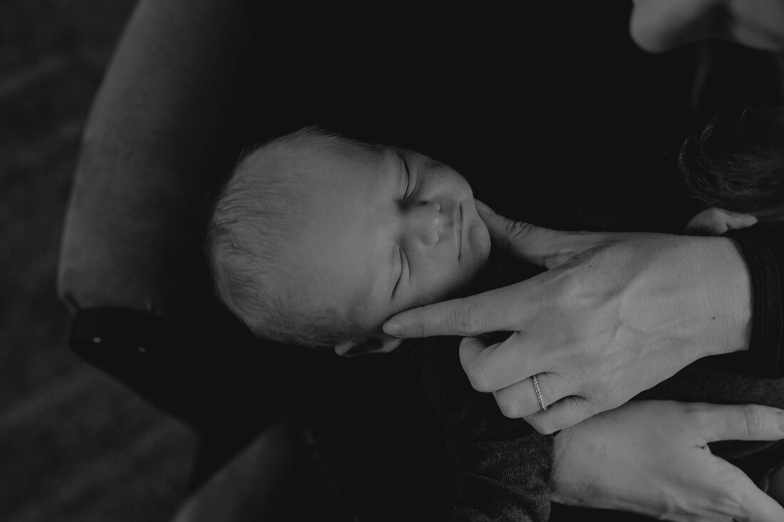 RileyFamily_DawsonvillePhotographer_ExploringNorthGa_2019 (1 of 1).jpg