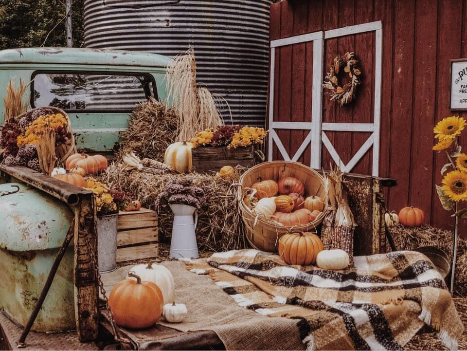10 Minute Fall Truck Mini Session